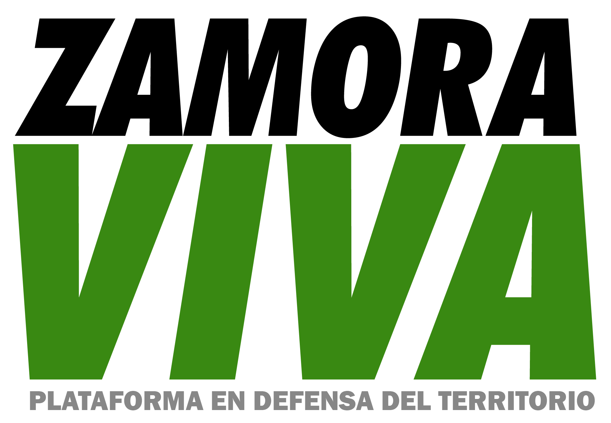 Zamora Viva